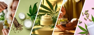 CSQ DIETARTY SUPPLEMENT ADDENDUM