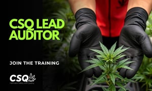 CSQ LEAD AUDITOR  TRAINING 