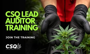 CSQ LEAD AUDITOR TRAINING