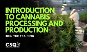 INTRODUCTION TO CANNABIS PROCESSING AND PRODUCTION